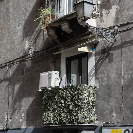 Terra Dell'Etna Appartement Catánia Buitenkant foto